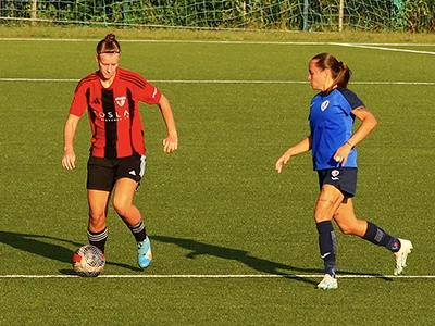 Napeta delitev točk v vročem obračunu med Primorjem in Ljubljano

 - Golavt