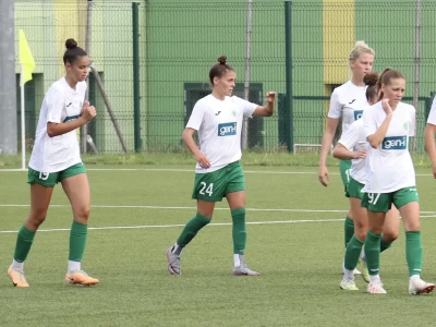 Visoka zmaga Olimpije proti Radomljam - Golavt